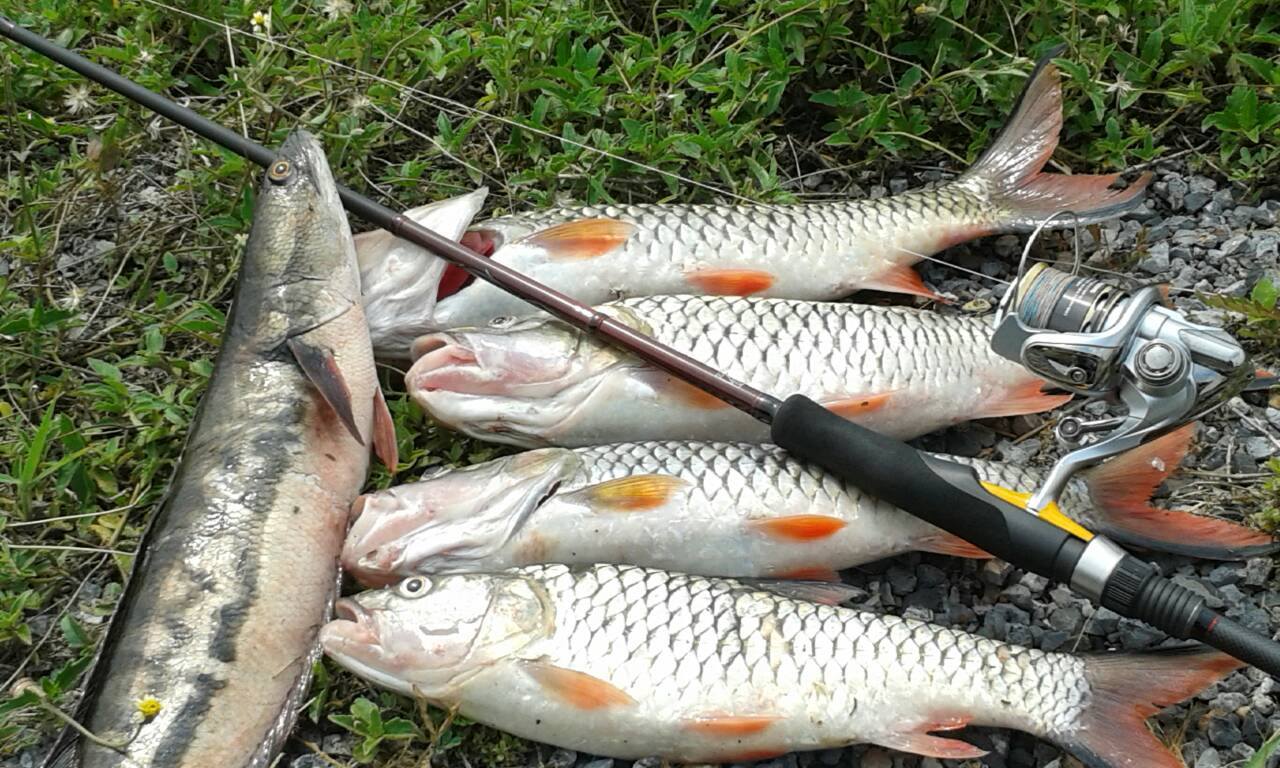 หัดลงครับ กะสูบสียัด