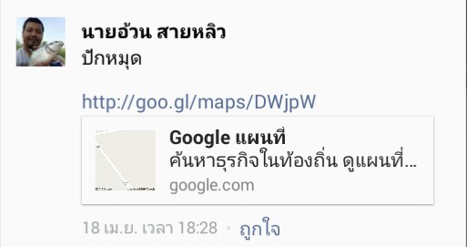 แมตแข่งปลาเกล็ดชิงหลิวล้วนๆ