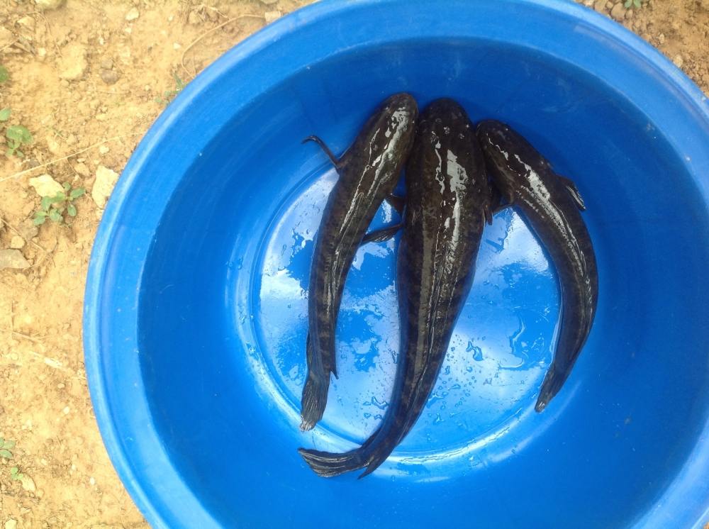 เรื่องเก่าเล่าใหม่ กับหยดน้ำน้าทุย