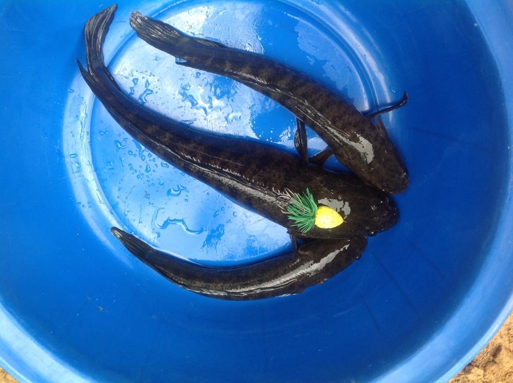 เรื่องเก่าเล่าใหม่ กับหยดน้ำน้าทุย