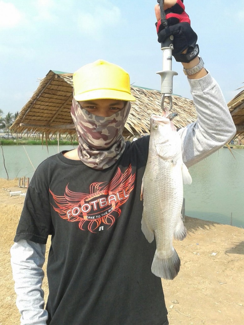 กระพงขัง