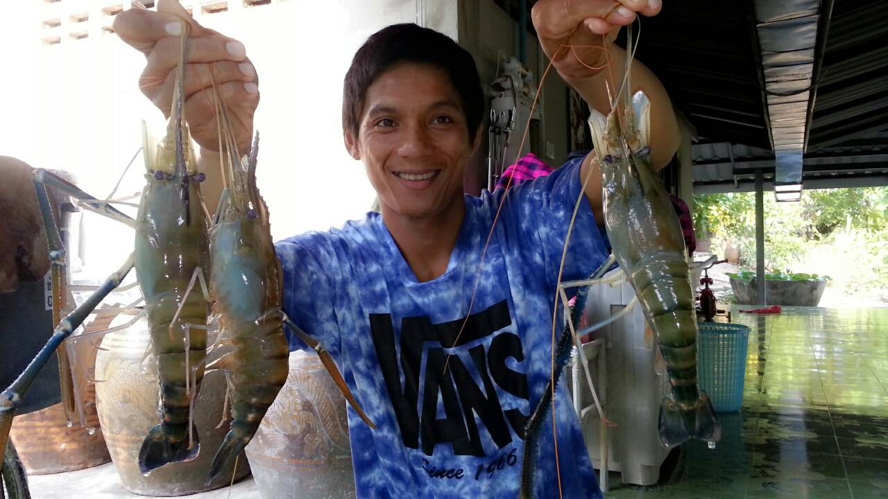 กุ้งๆๆๆๆๆ(10)