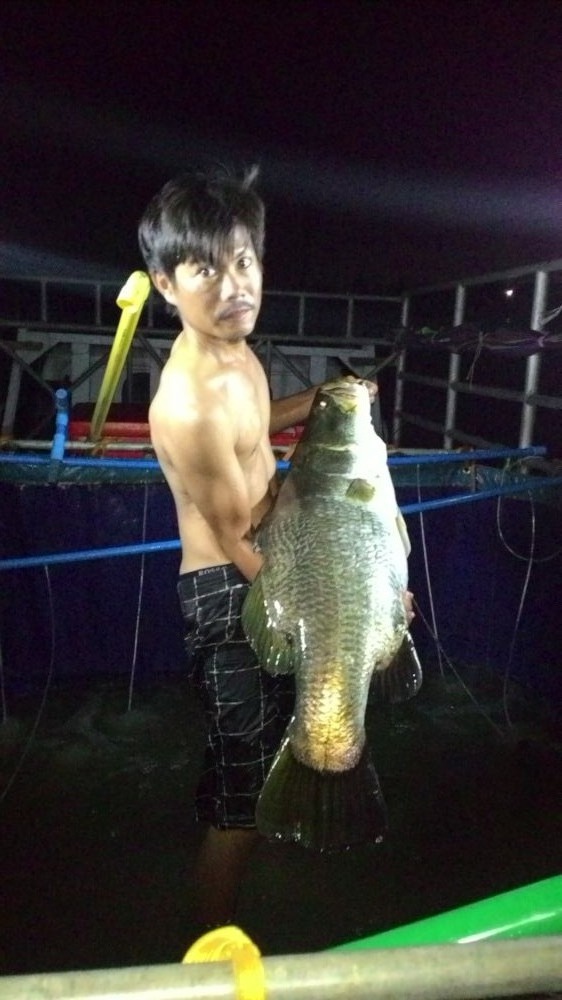 ทริพเก็บตกกะพง ไทรน้อย บ่อน้องดรีม ฟิชชิ่ง มาแล้วครับ