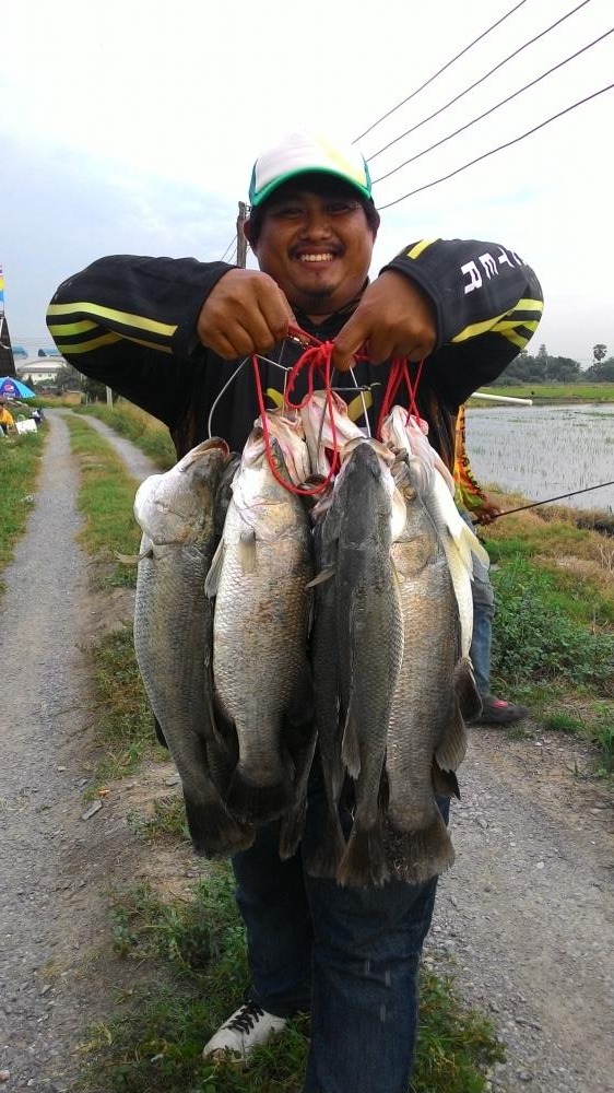 ทริพเก็บตกกะพง ไทรน้อย บ่อน้องดรีม ฟิชชิ่ง มาแล้วครับ