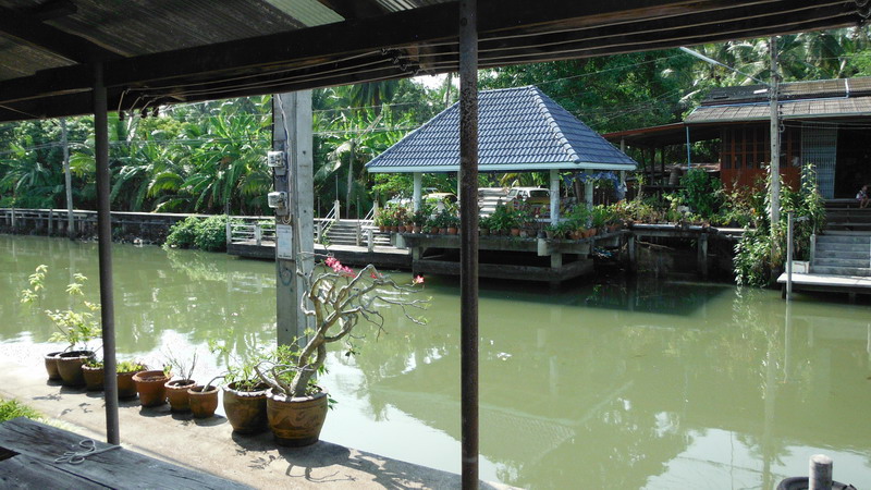 กระสูบคลองดำเนินสะดวก อีกแล้วครับท่าน....