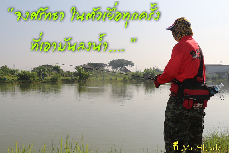 กระสูบคลองดำเนินสะดวก อีกแล้วครับท่าน....