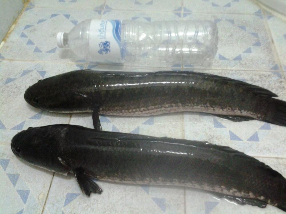 เรื่องเก่า เล่าอีกรอบ
