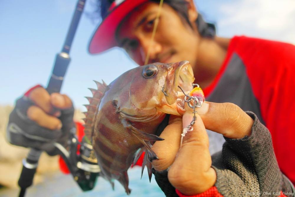 micro jig แนวกันคลื่น..