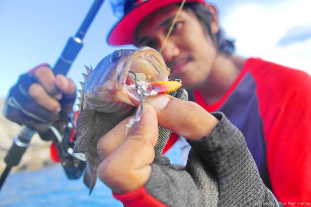 micro jig แนวกันคลื่น..