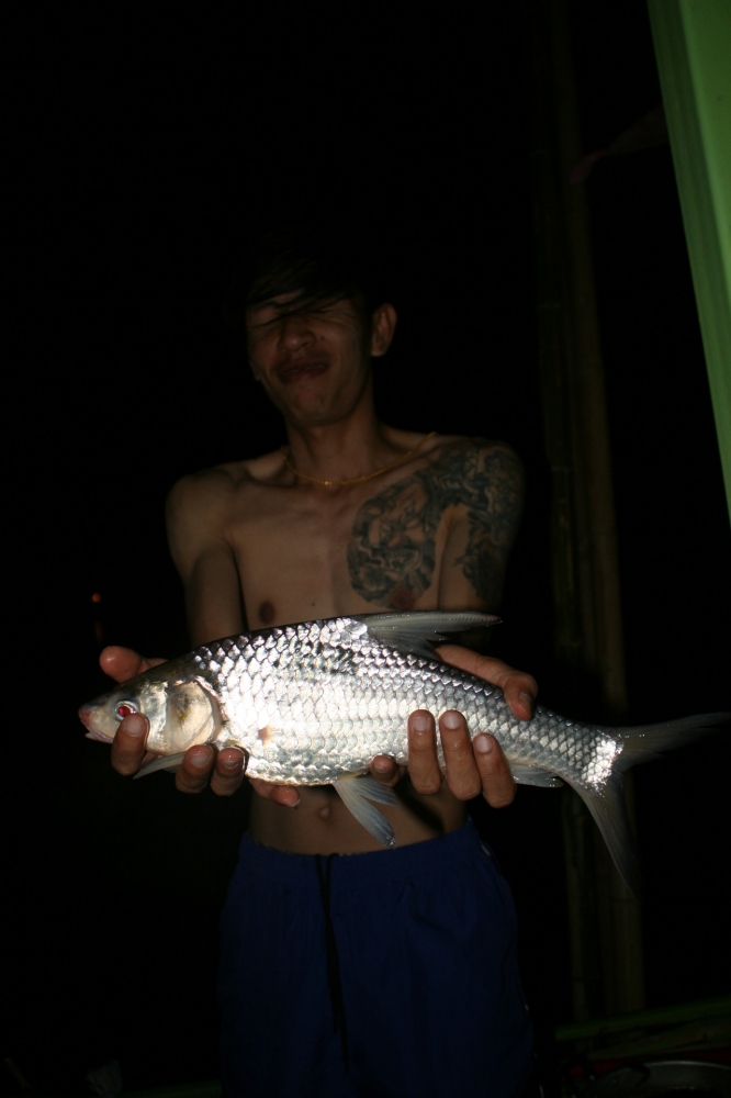พักผ่อนกับหน้าดิน..