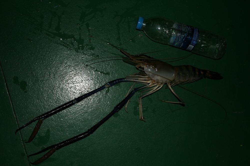 พักผ่อนกับหน้าดิน..