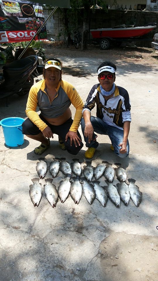 110โล105ตัว บ่อบุปผาครับ