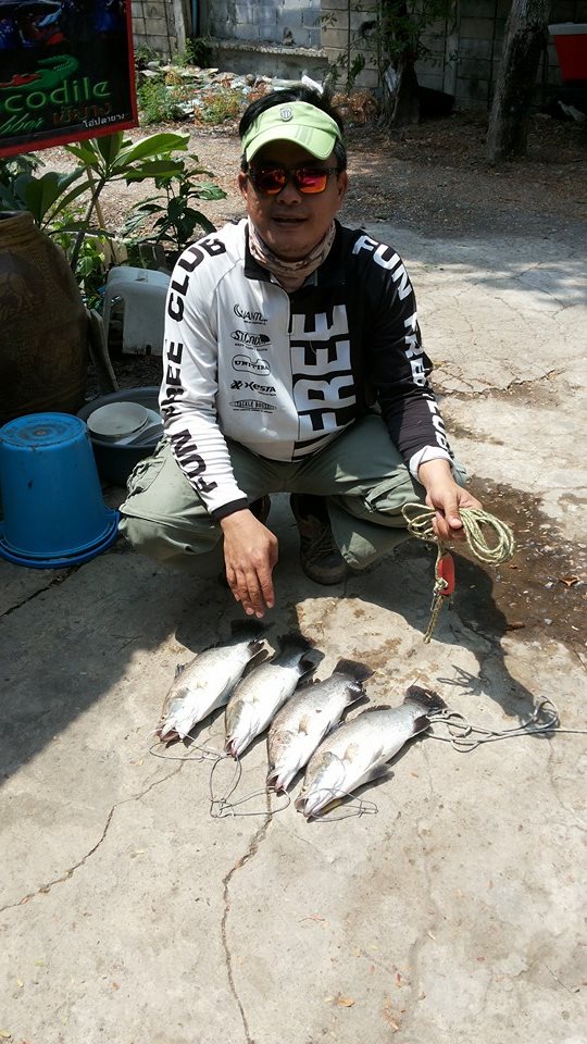 110โล105ตัว บ่อบุปผาครับ
