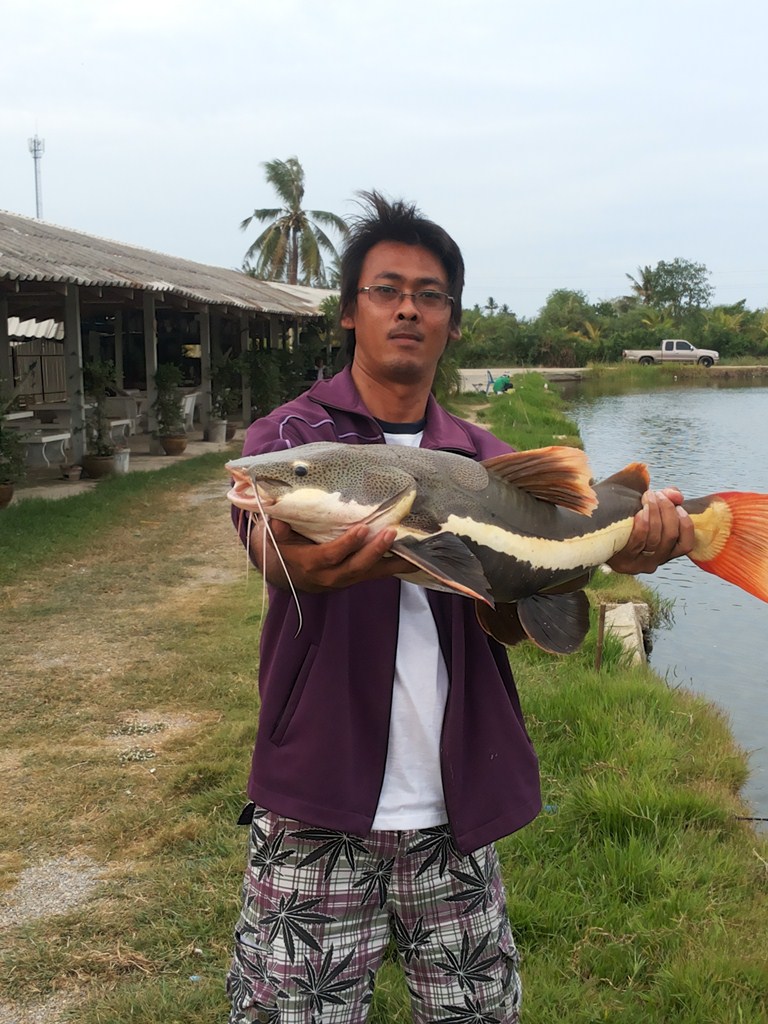 ลองปลาแปลก