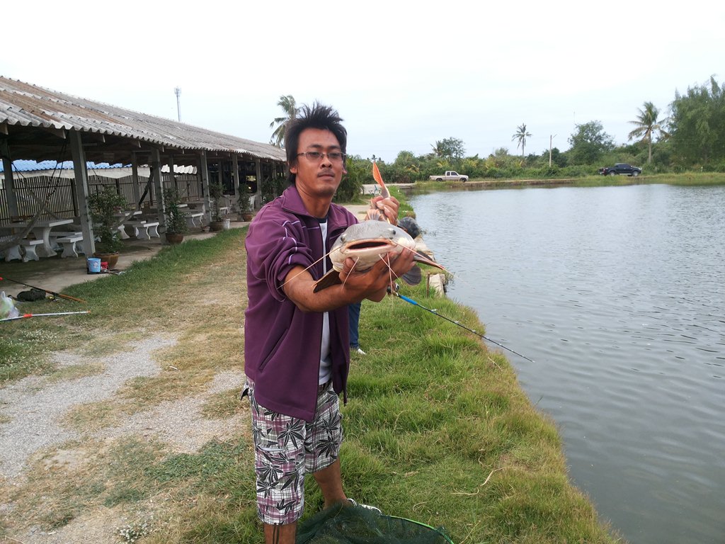 ลองปลาแปลก