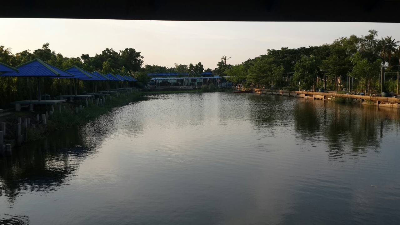บ่อปลา ซี.พี.เค พิชชิ่งปาร์ค