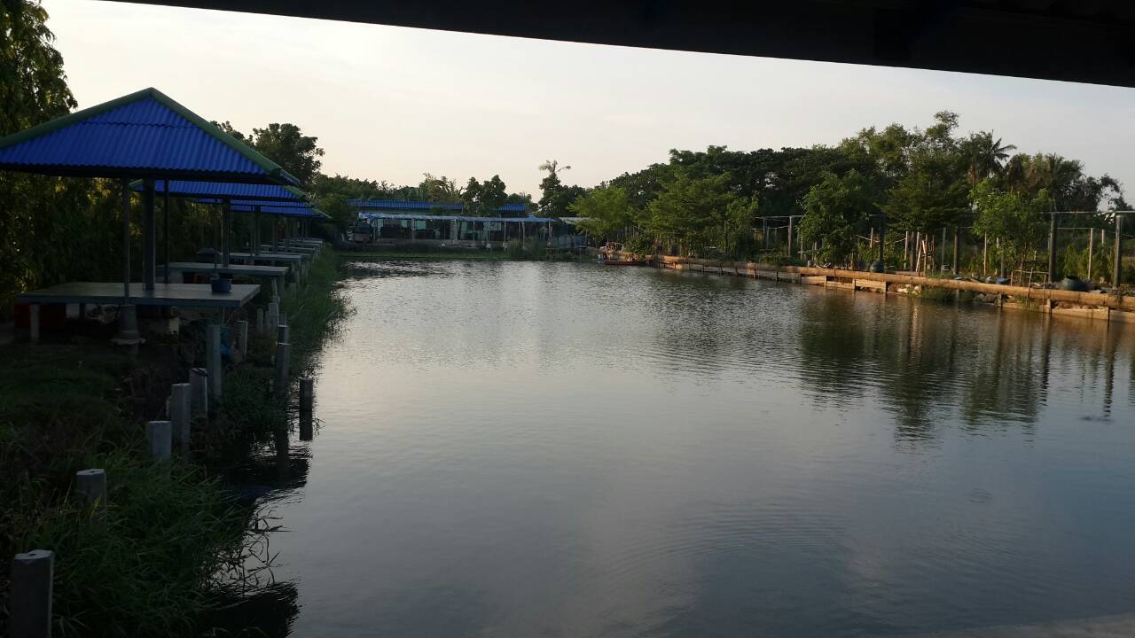 บ่อปลา ซี.พี.เค พิชชิ่งปาร์ค