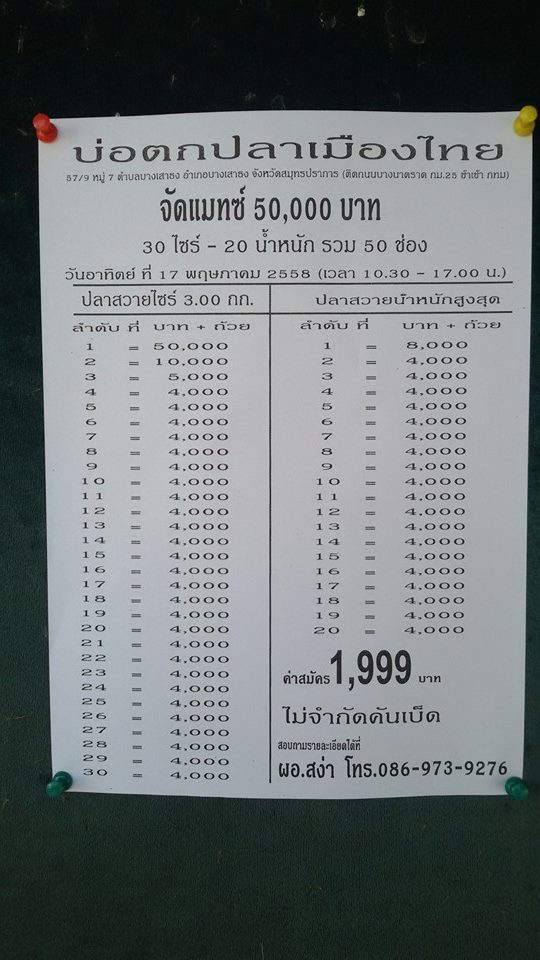 บ่อเมืองไทย17พฤษภาคม2558 หัว 50,000 บาท หาง 4000 บาท รวม 50 ช่อง