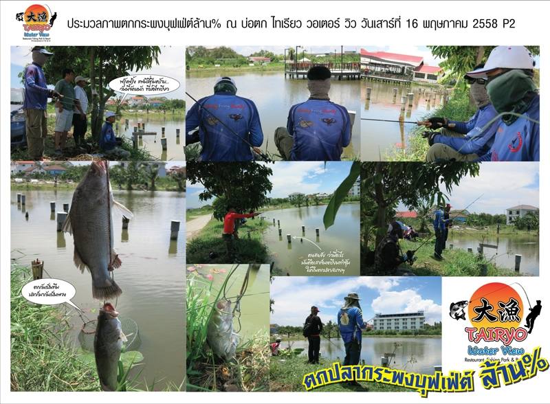 ตกปลากระพงบุฟเฟ่ต์ล้าน% ประมวลภาพความสนุก ณ บ่อไทเรียว 16 พ.ค. 58