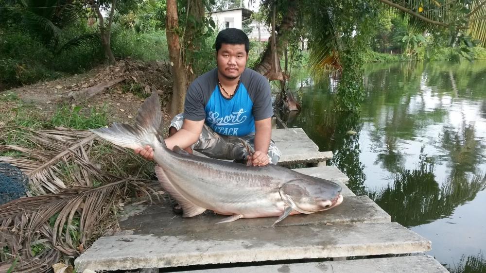 เงาน้ำ พอได้มัน