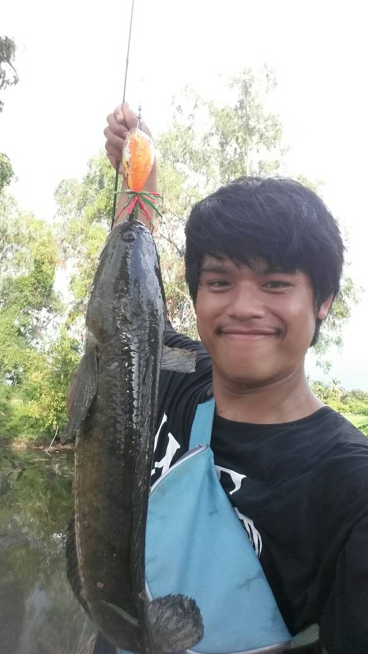 ของกินเย็นนี้