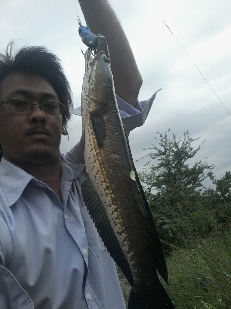 ช่อนก่อนไปทำงาน