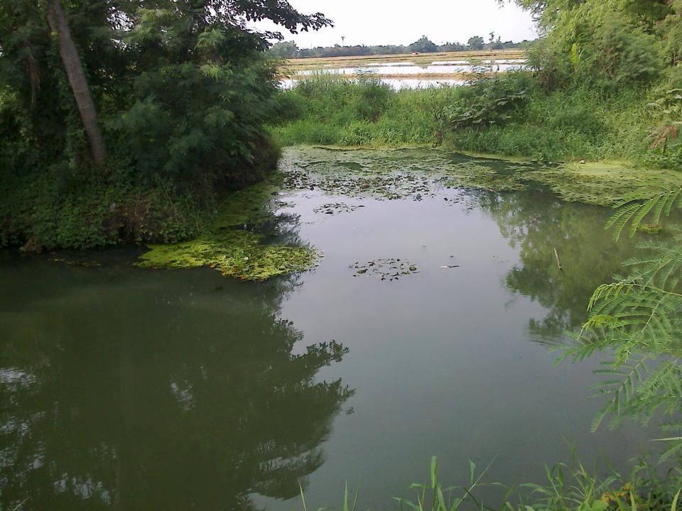 โดนของ