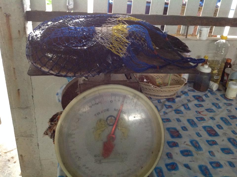 โดนของ