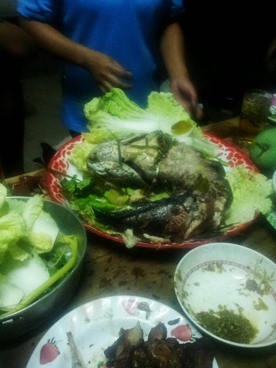 ว่าด้วยช่อนนึ่งแป๊ะซะ