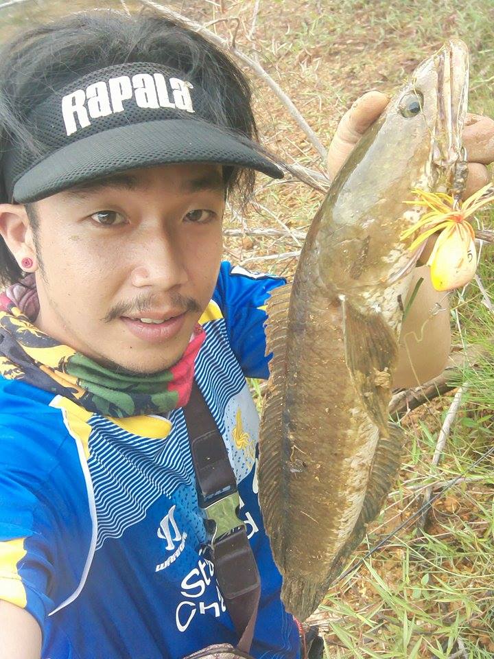 ช่อน ชะโด (จังหวัดตราด)  ยาวๆ
