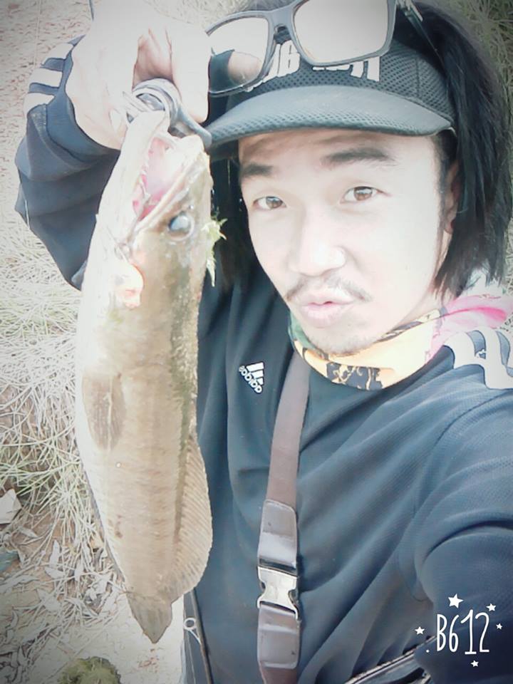 ช่อน ชะโด (จังหวัดตราด)  ยาวๆ