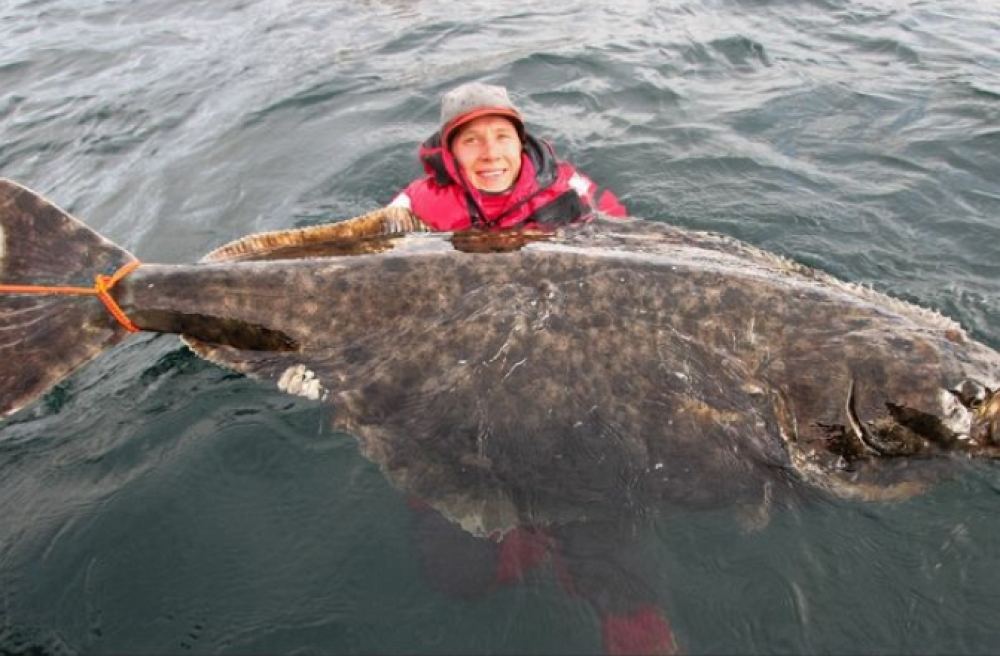 หนุ่มสวีเดนโชว์ตกปลาตัวใหญ่ได้กว่า2เมตร