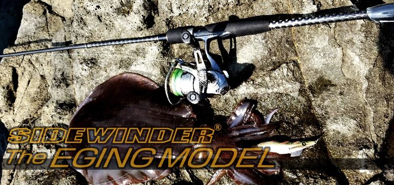 2015 SIDEWINDER THE EGING MODEL