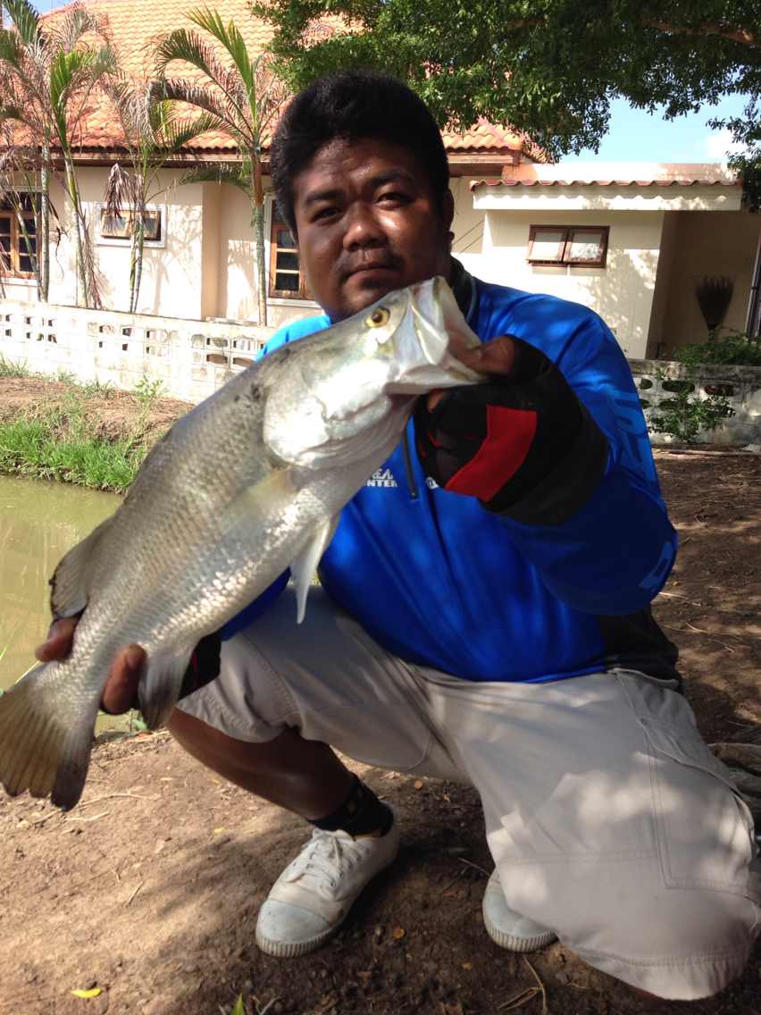 ช่วยแนะนำคันสปิ้น สำหรับเล่นกะสูบ กะพง หน่อยครับ...