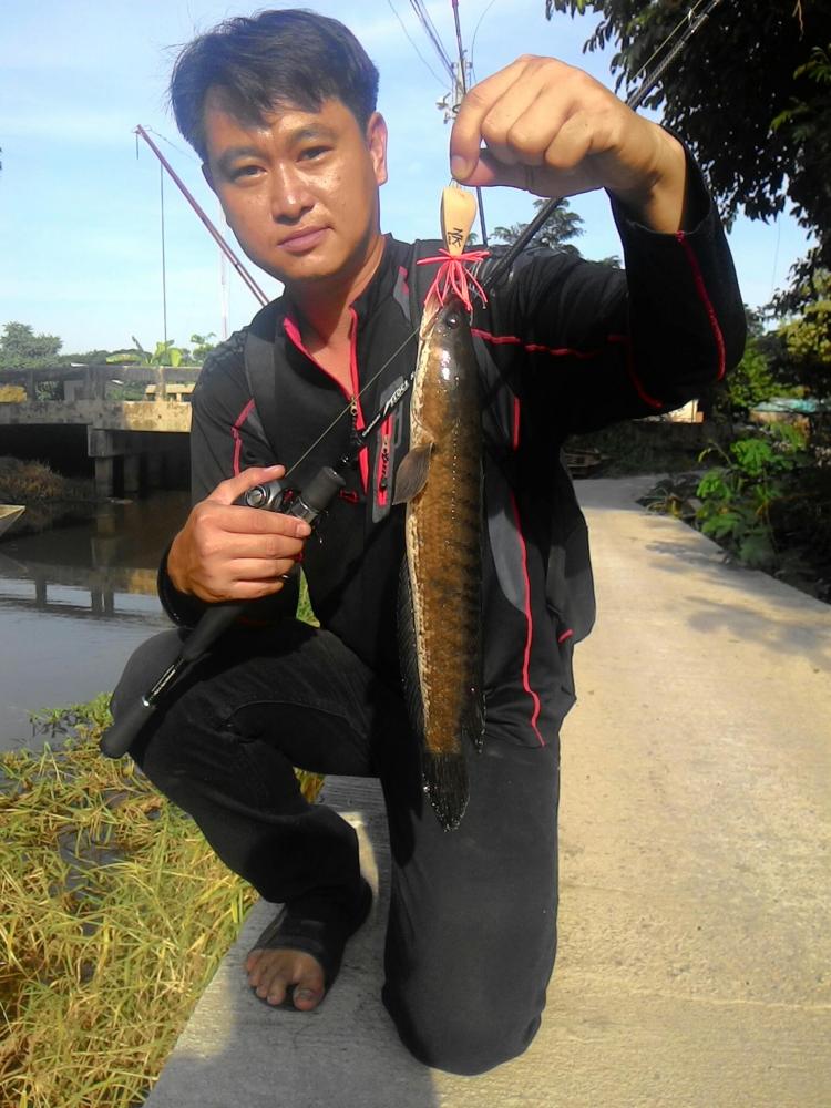 สตรีทฟิชชิ่ง ภายใต้ Catch and release ตกปลาคือกีฬา