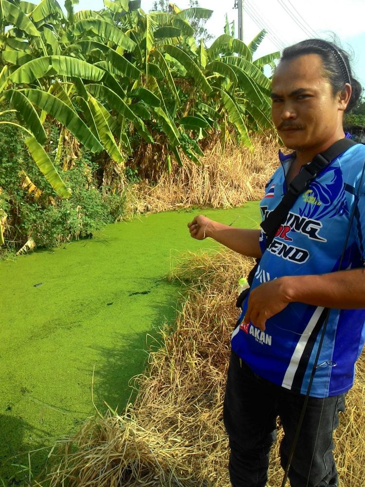 สตรีทฟิชชิ่ง ภายใต้ Catch and release ตกปลาคือกีฬา