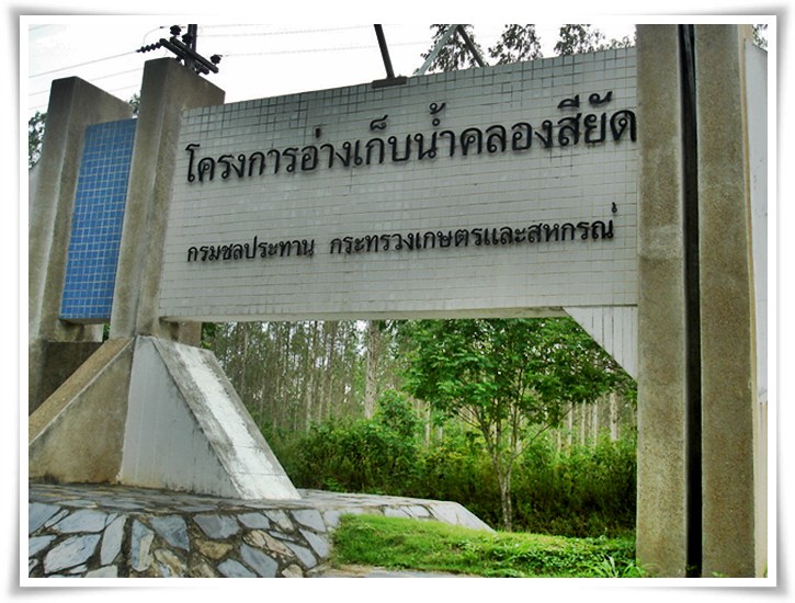 ฝูงกระสูบถล่ม ณ.อ่างเก็บน้ำคลองสียัด