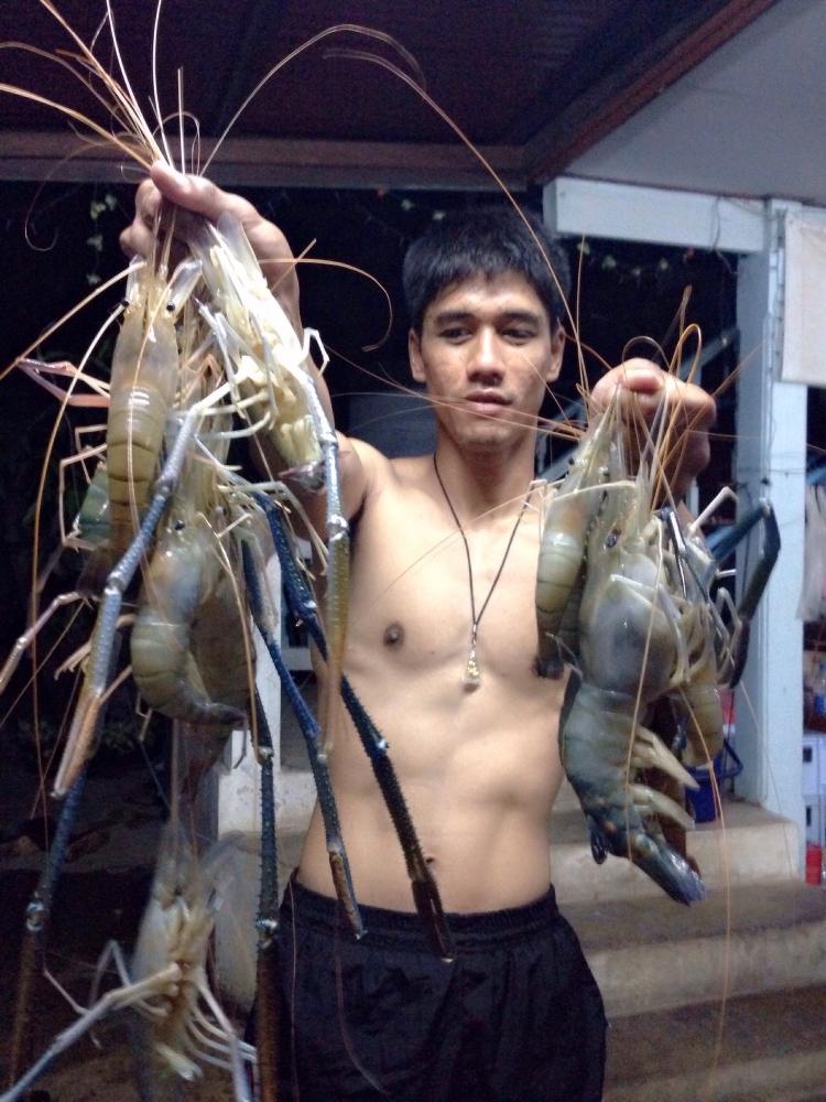 ..พอได้มัน...กุ้งเจ้าพระยา...