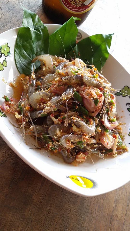 กุ้งคลอง เต้นระบำ