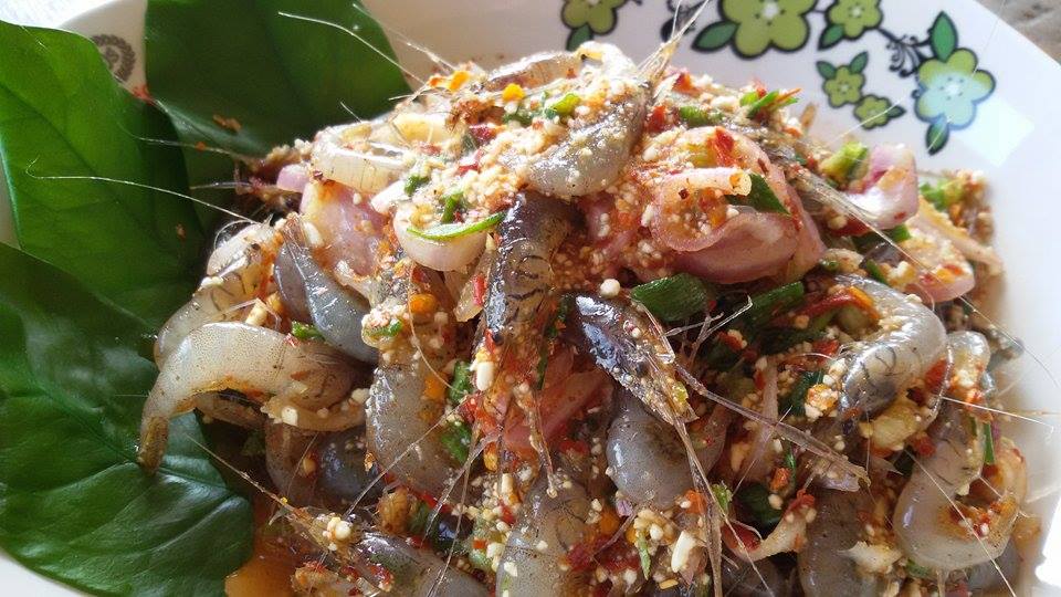 กุ้งคลอง เต้นระบำ