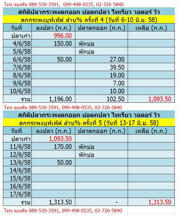 มาตกปลากระพงบุฟเฟ่ต์ล้าน% ครั้งที่ 5 ที่บ่อตกปลา ไทเรียว กันดีกว่า