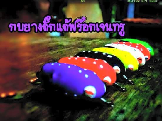 ช่อน้อยๆ กับกบยางดั๊กแด้ฟร๊อกเจน2สีเขียว byเว่นตี๋สุพรรณ 