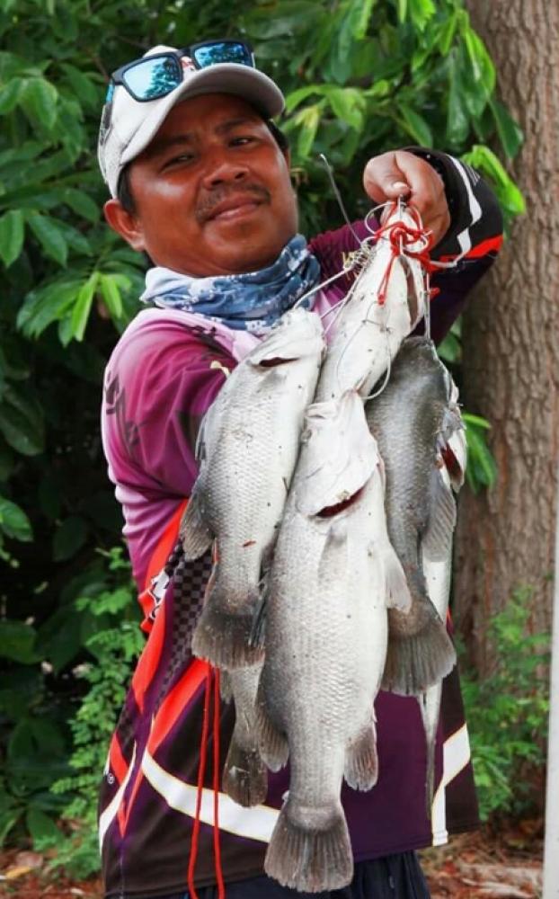 กะพง..กะพง..กะพง
