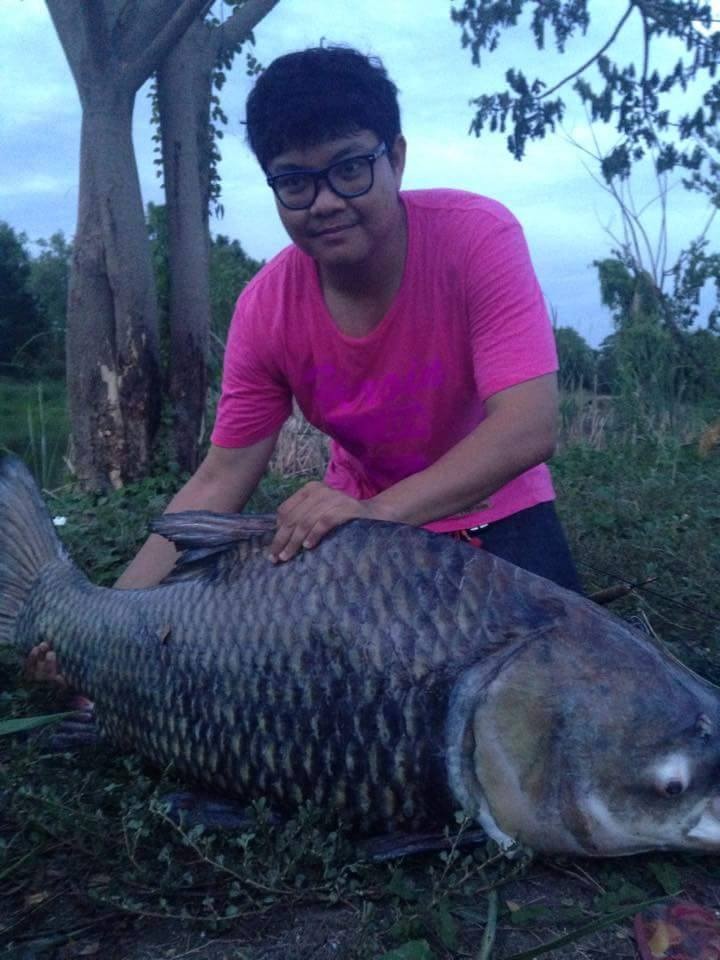 สปิ๋ว