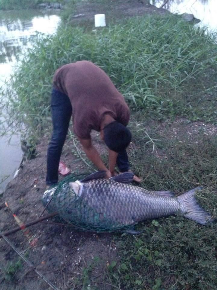 สปิ๋ว