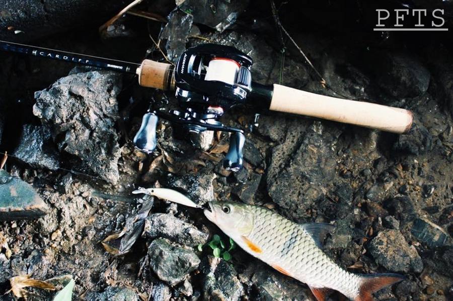 Ultra Light fishing กระสูบแม่น้ำเพชรบุรี