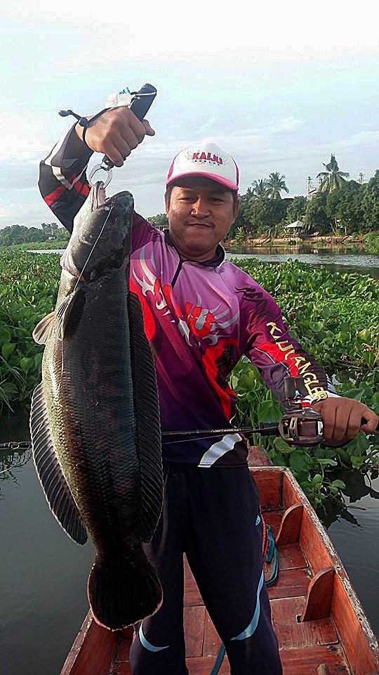 ชะโดแม่น้ำ 5.8 kg. กับคัน Hearty Rise Evolution 10-17