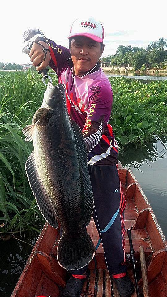 ชะโดแม่น้ำ 5.8 kg. กับคัน Hearty Rise Evolution 10-17