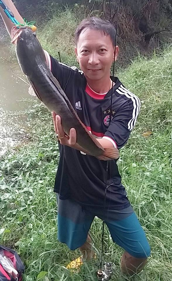 ขอสักตัว