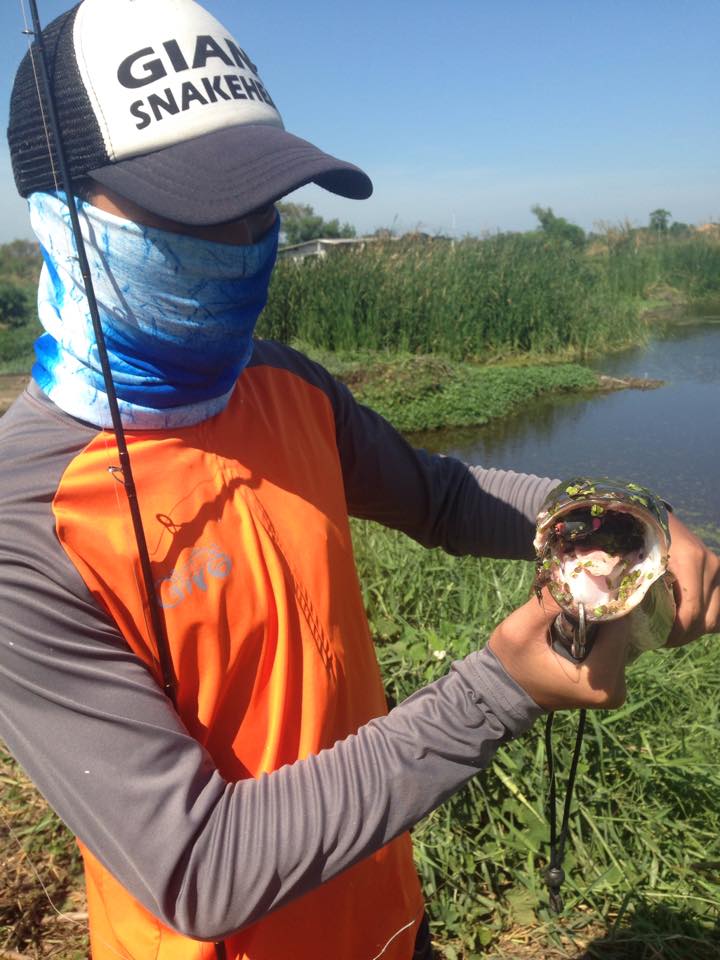 Smile Frog Lure